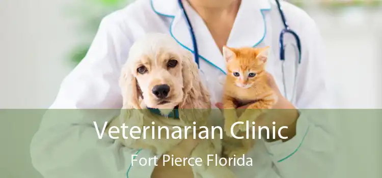 Veterinarian Clinic Fort Pierce Florida