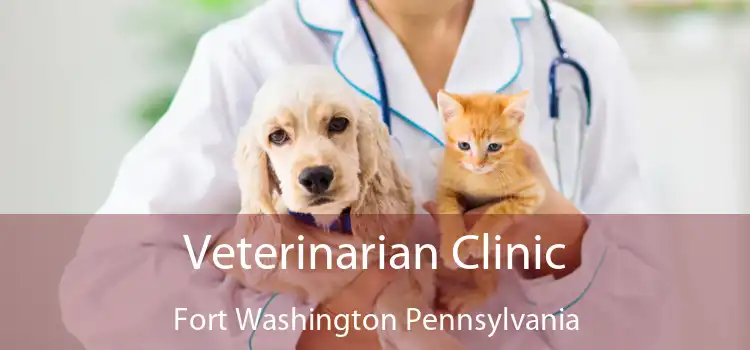 Veterinarian Clinic Fort Washington Pennsylvania