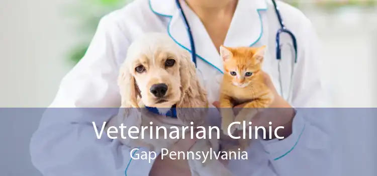 Veterinarian Clinic Gap Pennsylvania