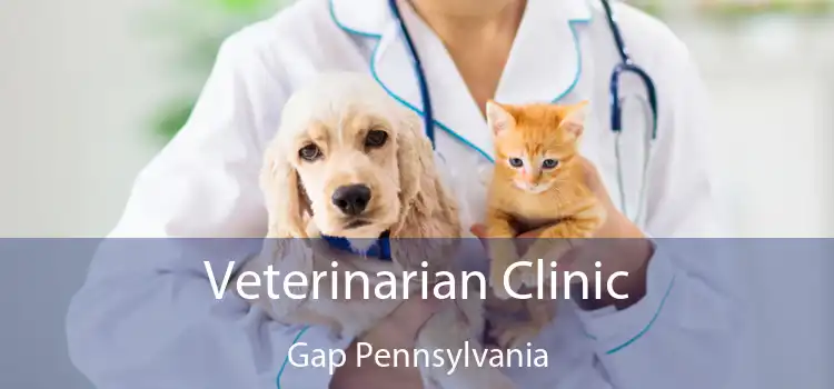 Veterinarian Clinic Gap Pennsylvania