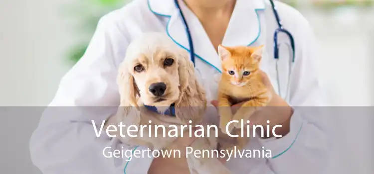 Veterinarian Clinic Geigertown Pennsylvania