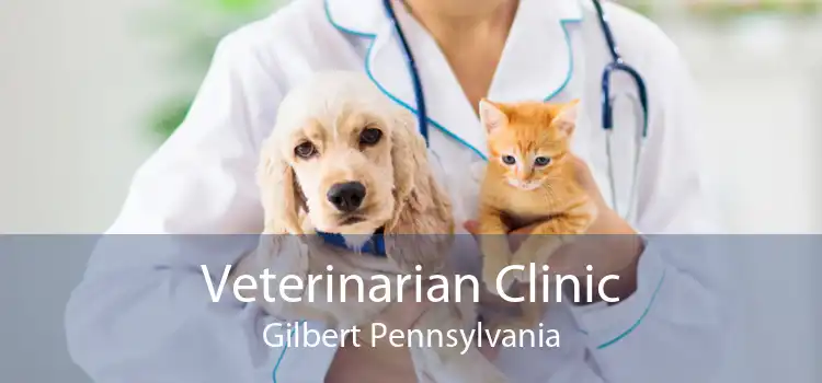 Veterinarian Clinic Gilbert Pennsylvania