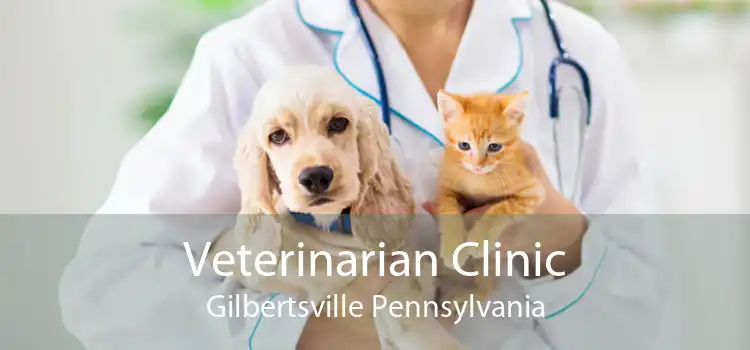 Veterinarian Clinic Gilbertsville Pennsylvania