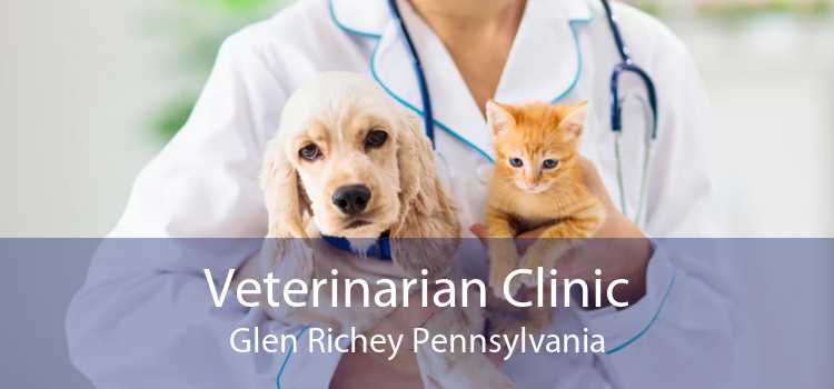 Veterinarian Clinic Glen Richey Pennsylvania