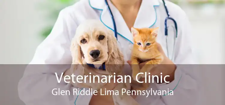 Veterinarian Clinic Glen Riddle Lima Pennsylvania