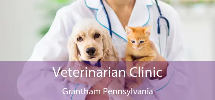 Veterinarian Clinic Grantham Pennsylvania