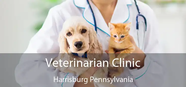 Veterinarian Clinic Harrisburg Pennsylvania