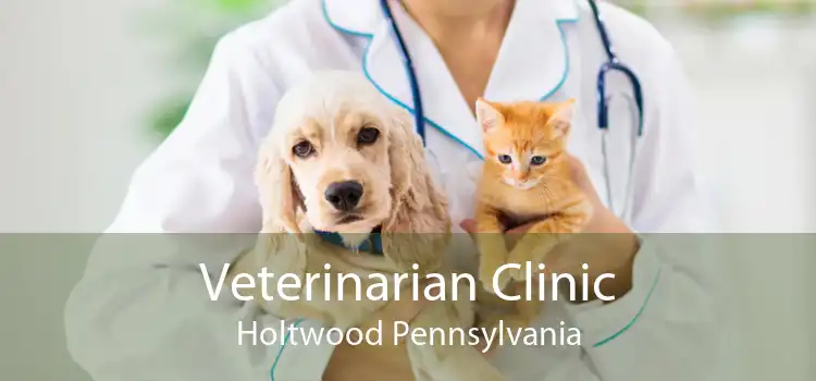 Veterinarian Clinic Holtwood Pennsylvania