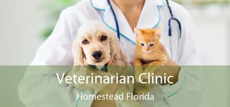 Veterinarian Clinic Homestead Florida