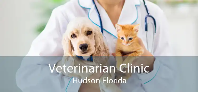 Veterinarian Clinic Hudson Florida