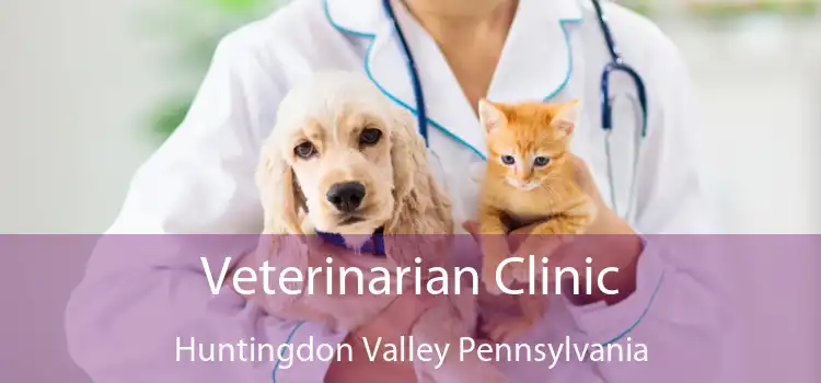 Veterinarian Clinic Huntingdon Valley Pennsylvania