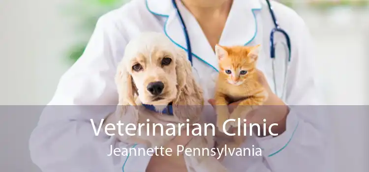 Veterinarian Clinic Jeannette Pennsylvania