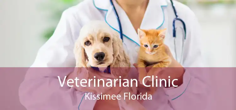 Veterinarian Clinic Kissimee Florida
