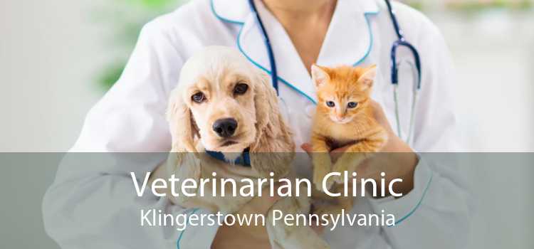 Veterinarian Clinic Klingerstown Pennsylvania