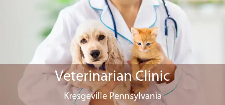 Veterinarian Clinic Kresgeville Pennsylvania