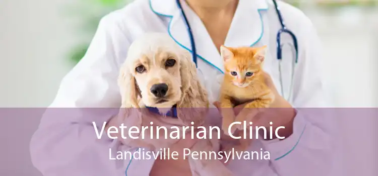 Veterinarian Clinic Landisville Pennsylvania