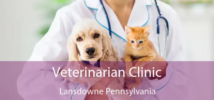 Veterinarian Clinic Lansdowne Pennsylvania