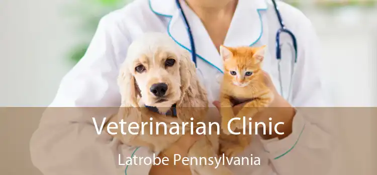Veterinarian Clinic Latrobe Pennsylvania