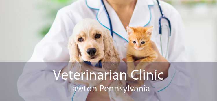 Veterinarian Clinic Lawton Pennsylvania