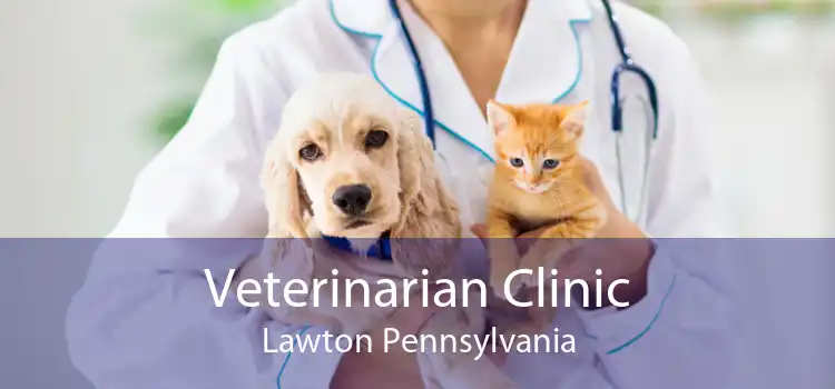 Veterinarian Clinic Lawton Pennsylvania