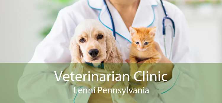 Veterinarian Clinic Lenni Pennsylvania
