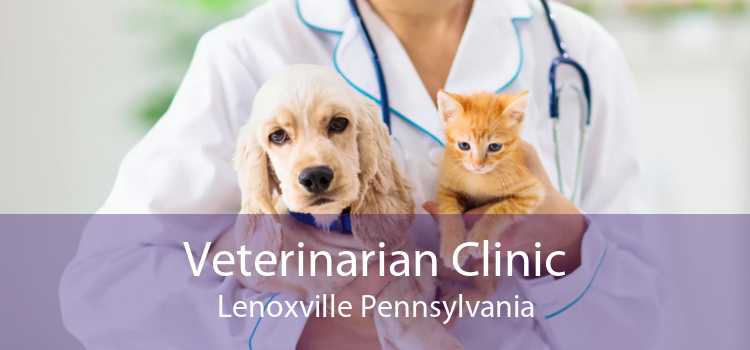 Veterinarian Clinic Lenoxville Pennsylvania