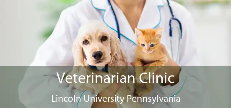 Veterinarian Clinic Lincoln University Pennsylvania