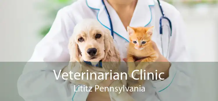 Veterinarian Clinic Lititz Pennsylvania