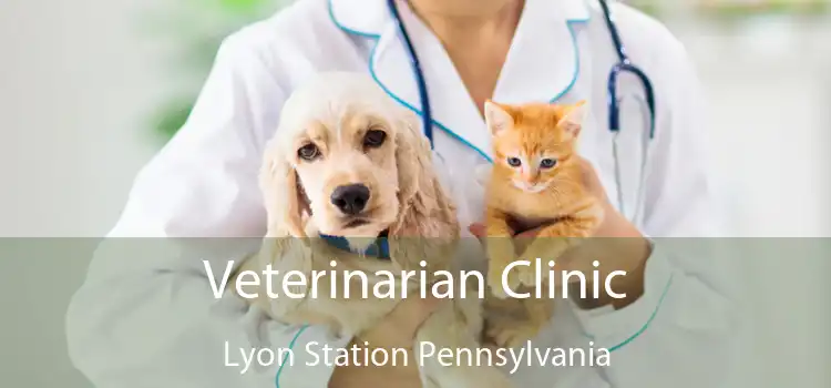 Veterinarian Clinic Lyon Station Pennsylvania