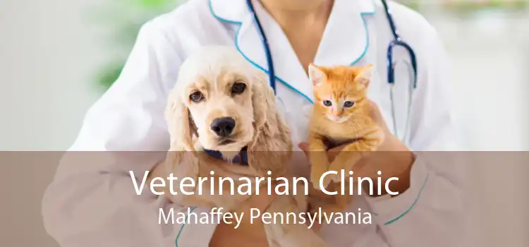 Veterinarian Clinic Mahaffey Pennsylvania