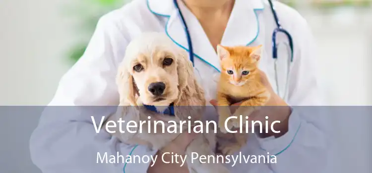 Veterinarian Clinic Mahanoy City Pennsylvania