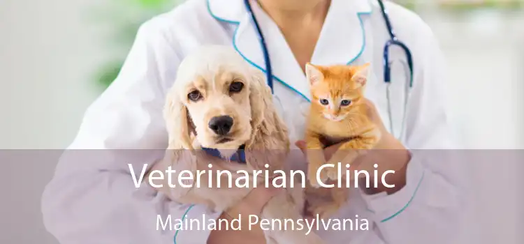 Veterinarian Clinic Mainland Pennsylvania