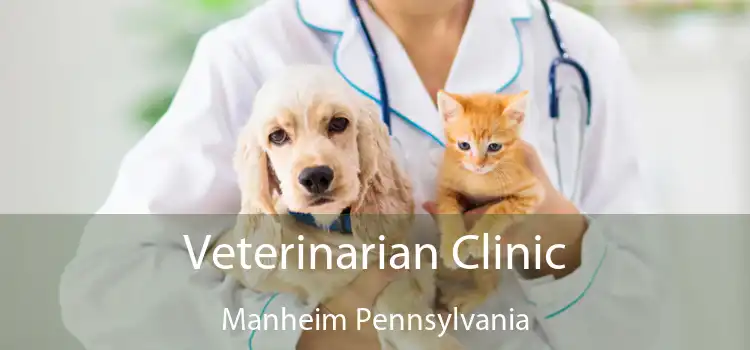 Veterinarian Clinic Manheim Pennsylvania