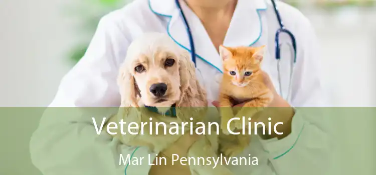 Veterinarian Clinic Mar Lin Pennsylvania