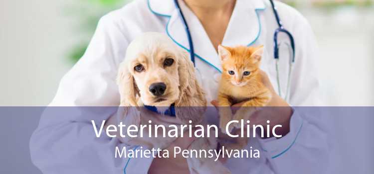 Veterinarian Clinic Marietta Pennsylvania