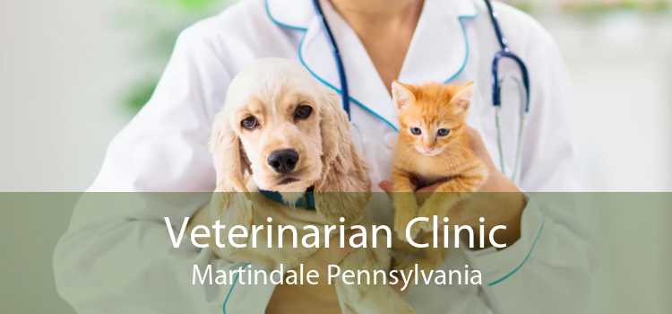 Veterinarian Clinic Martindale Pennsylvania