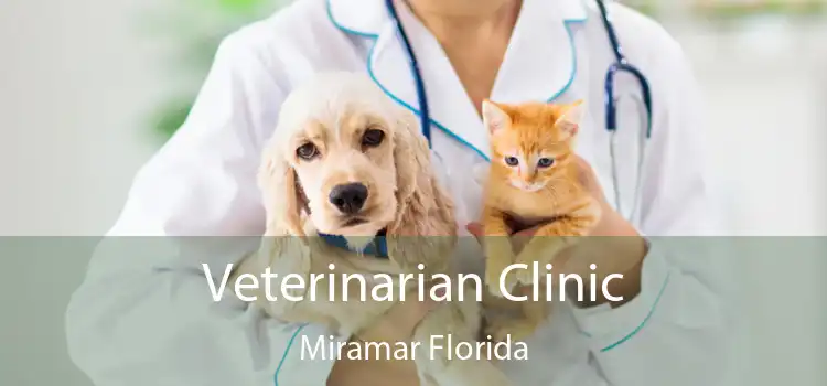Veterinarian Clinic Miramar Florida
