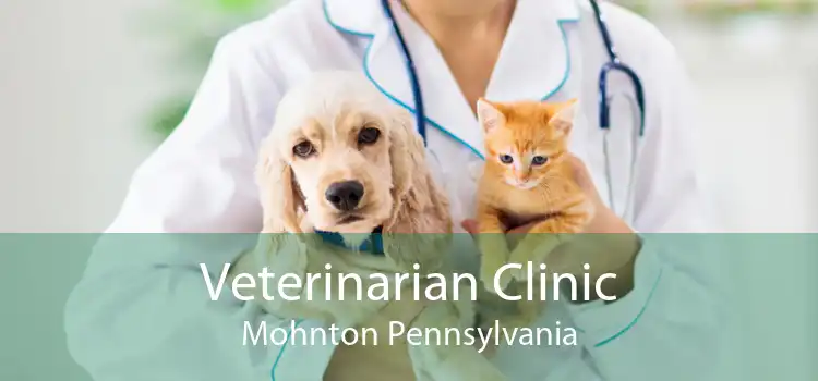 Veterinarian Clinic Mohnton Pennsylvania