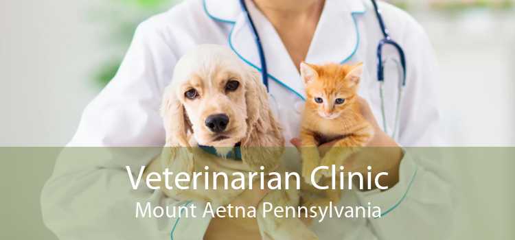 Veterinarian Clinic Mount Aetna Pennsylvania