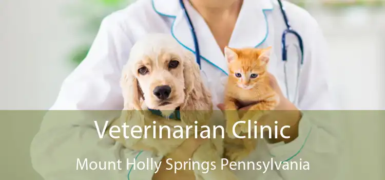 Veterinarian Clinic Mount Holly Springs Pennsylvania