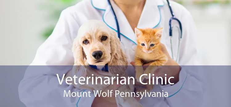 Veterinarian Clinic Mount Wolf Pennsylvania