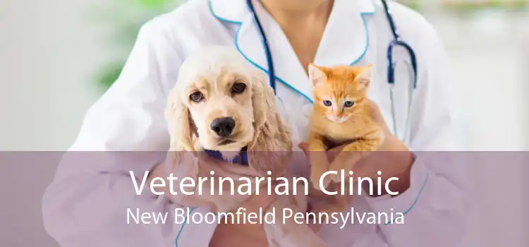 Veterinarian Clinic New Bloomfield Pennsylvania