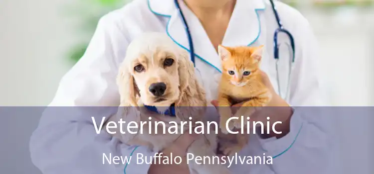 Veterinarian Clinic New Buffalo Pennsylvania