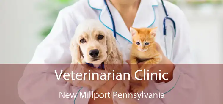 Veterinarian Clinic New Millport Pennsylvania