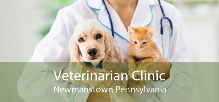 Veterinarian Clinic Newmanstown Pennsylvania