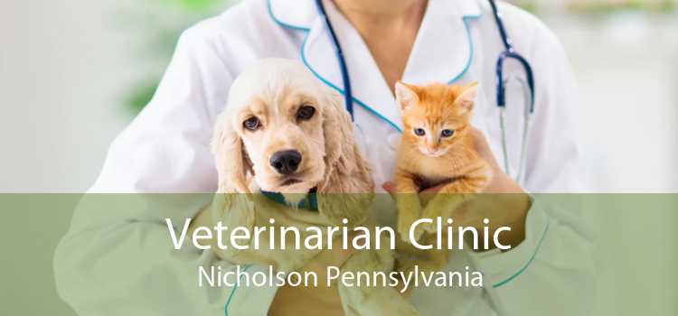 Veterinarian Clinic Nicholson Pennsylvania