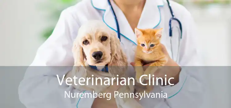 Veterinarian Clinic Nuremberg Pennsylvania