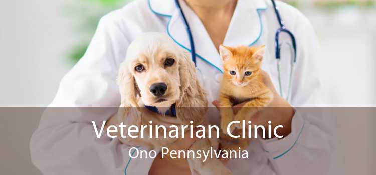 Veterinarian Clinic Ono Pennsylvania