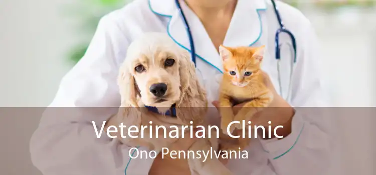 Veterinarian Clinic Ono Pennsylvania