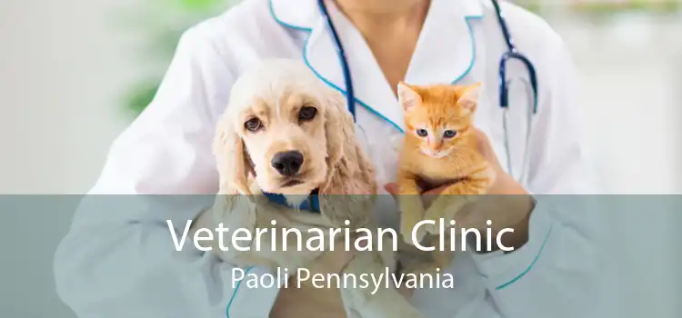 Veterinarian Clinic Paoli Pennsylvania